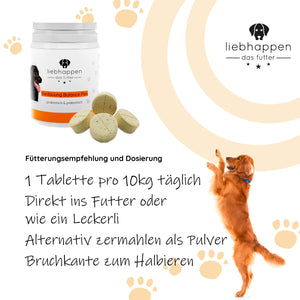 Verdauung Balance Plus - Unterstützung für die Verdauung 100 Tabletten (150g)