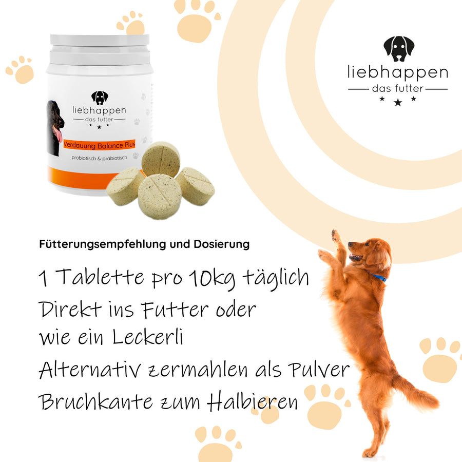 Verdauung Balance Plus - Unterstützung für die Verdauung 100 Tabletten (150g)